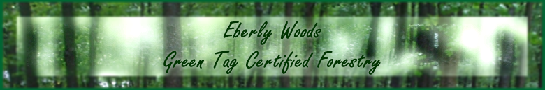 Eberly Woods